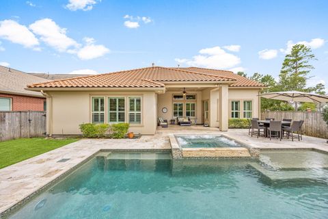 178 Rockwell Park Drive Spring TX 77389