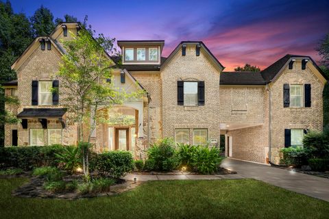11306 Longmire Creek Court Conroe TX 77304