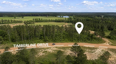 Photo of 0 Timberline Dr DR, Hillister, TX 77624 (MLS # 77119729)
