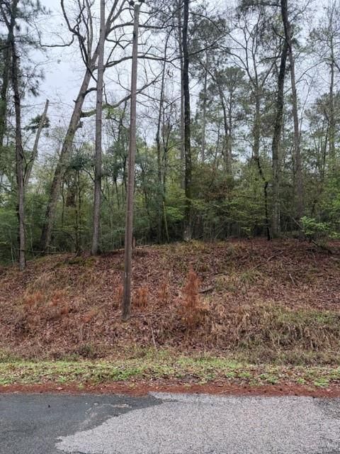 Vacant Land For Sale - LOT 39 40 & 41 S Lakeview Drive<br/> Point Blank, TX 77364