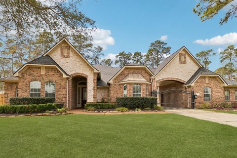 Photo of 13224 Misty Sage Drive, Conroe, TX 77302 (MLS # 30845241)