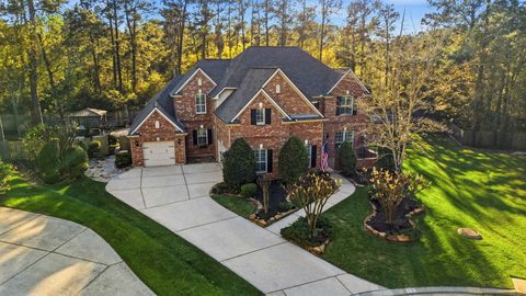 3 Graylin Woods Place The Woodlands TX 77382