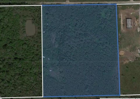 Vacant Land For Sale - 931 Lawson Road<br/> Fort Bend County, Rosharon, TX 77583