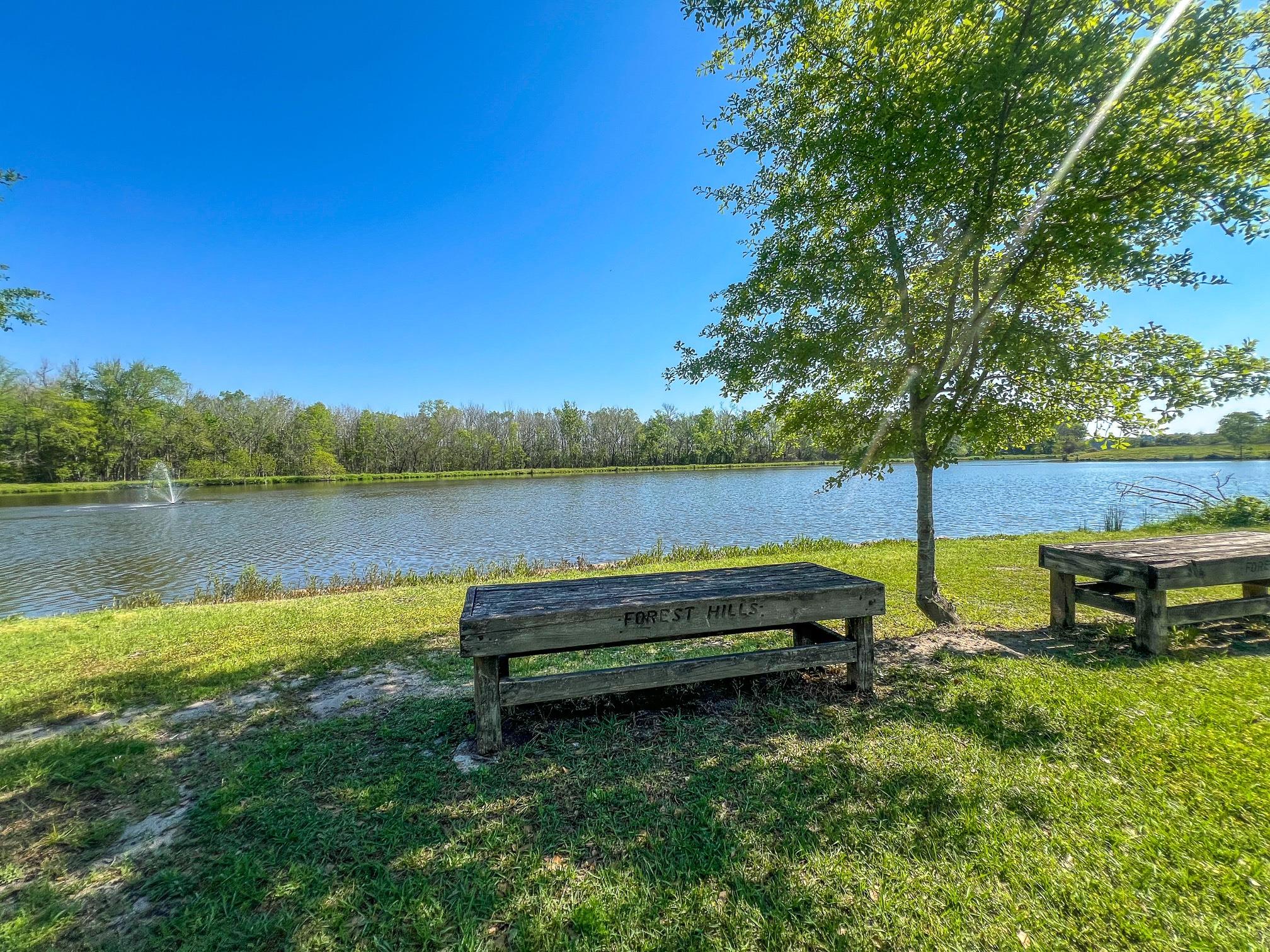 300 Brook Hollow Drive