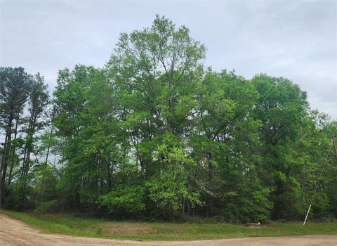 Photo of TBD Cloverdale, Livingston, TX 77351 (MLS # 75132377)