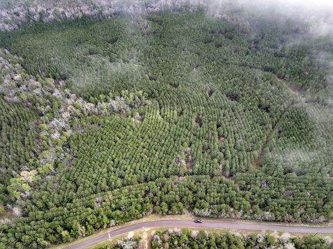 Vacant Land For Sale - 15 Cr 2140<br/> Houston County, Crockett, TX 75835