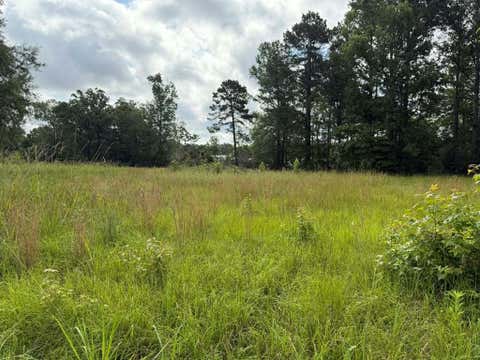 Photo of 194 Lindsley Ln, Huntington, TX 75949 (MLS # 16872224)