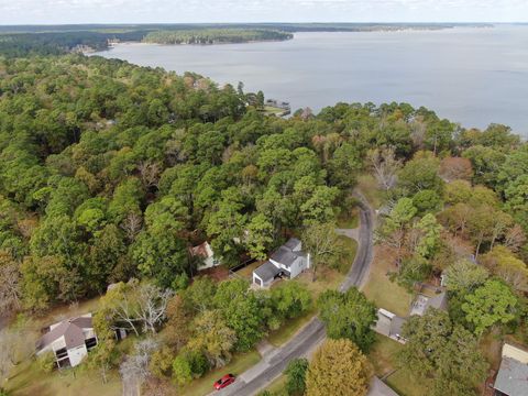 Photo of 141 N Pine Harbour Drive, Coldspring, TX 77331 (MLS # 15404214)