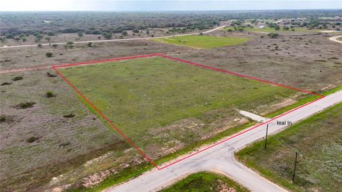 Photo of 2 Teal Lane, Columbus, TX 77470 (MLS # 93592282)