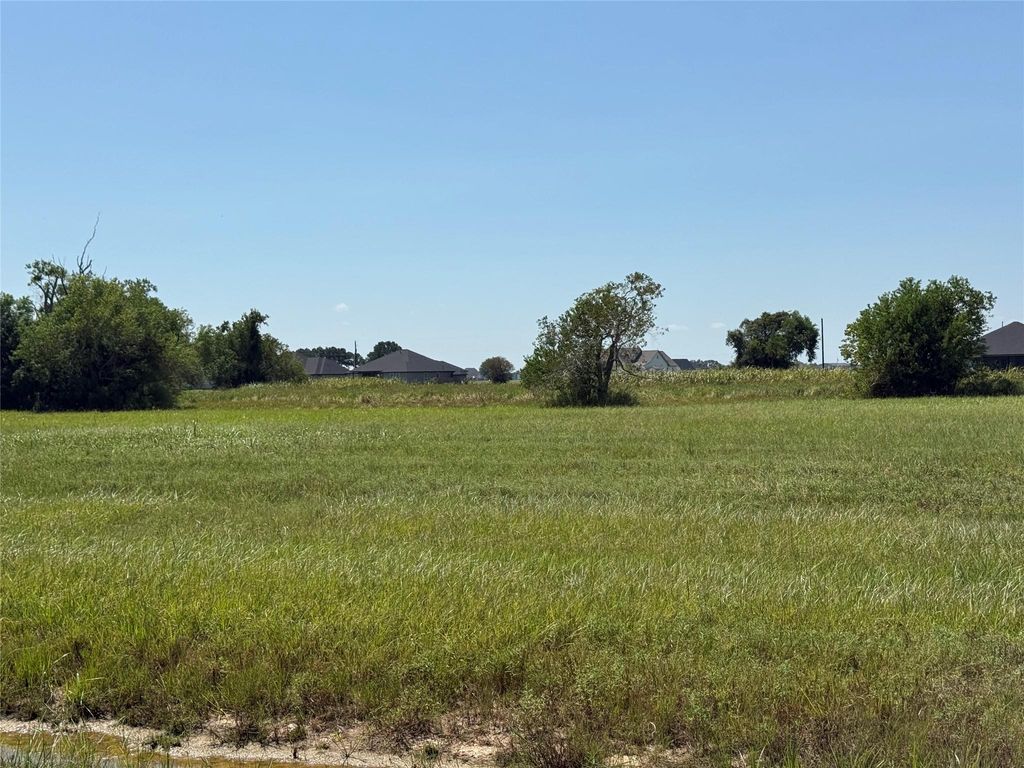 Photo of 543 Angus Trail, Angleton, TX 77515 (MLS # 34554656)