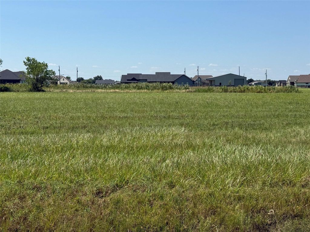 Photo of 543 Angus Trail, Angleton, TX 77515 (MLS # 34554656)