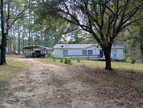 Photo of 534 Lake Camelot Circle, Woodville, TX 75979 (MLS # 27213850)