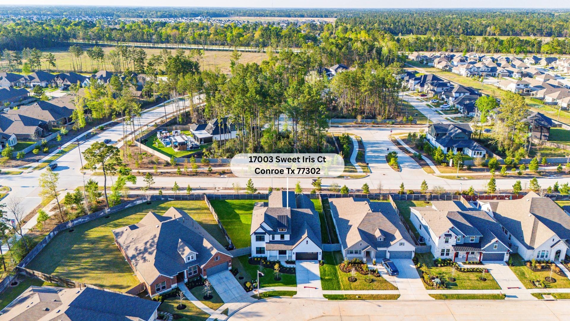 17003 Sweet Iris Court