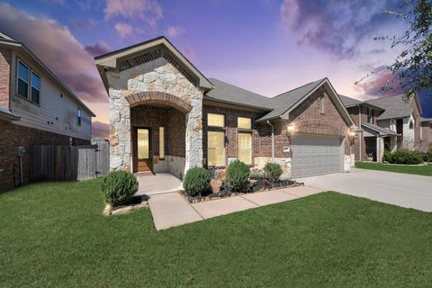 16207 Amber Brown Drive Hockley TX 77447