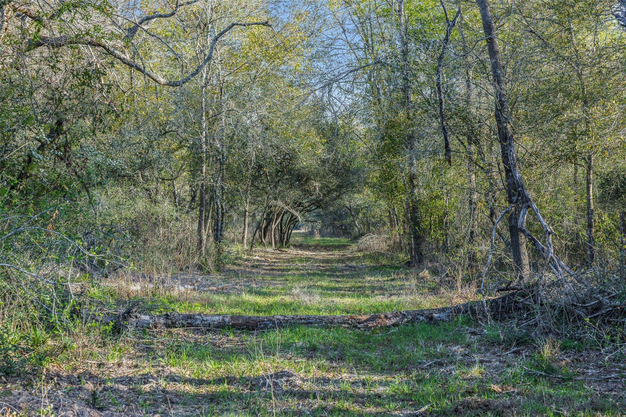 1746 County Road 103