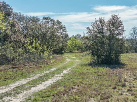 Vacant Land For Sale - 1746 County Road 103<br/> Columbus, TX 78934