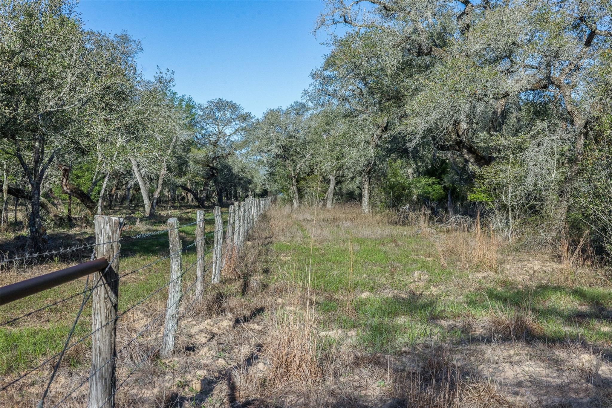 1746 County Road 103