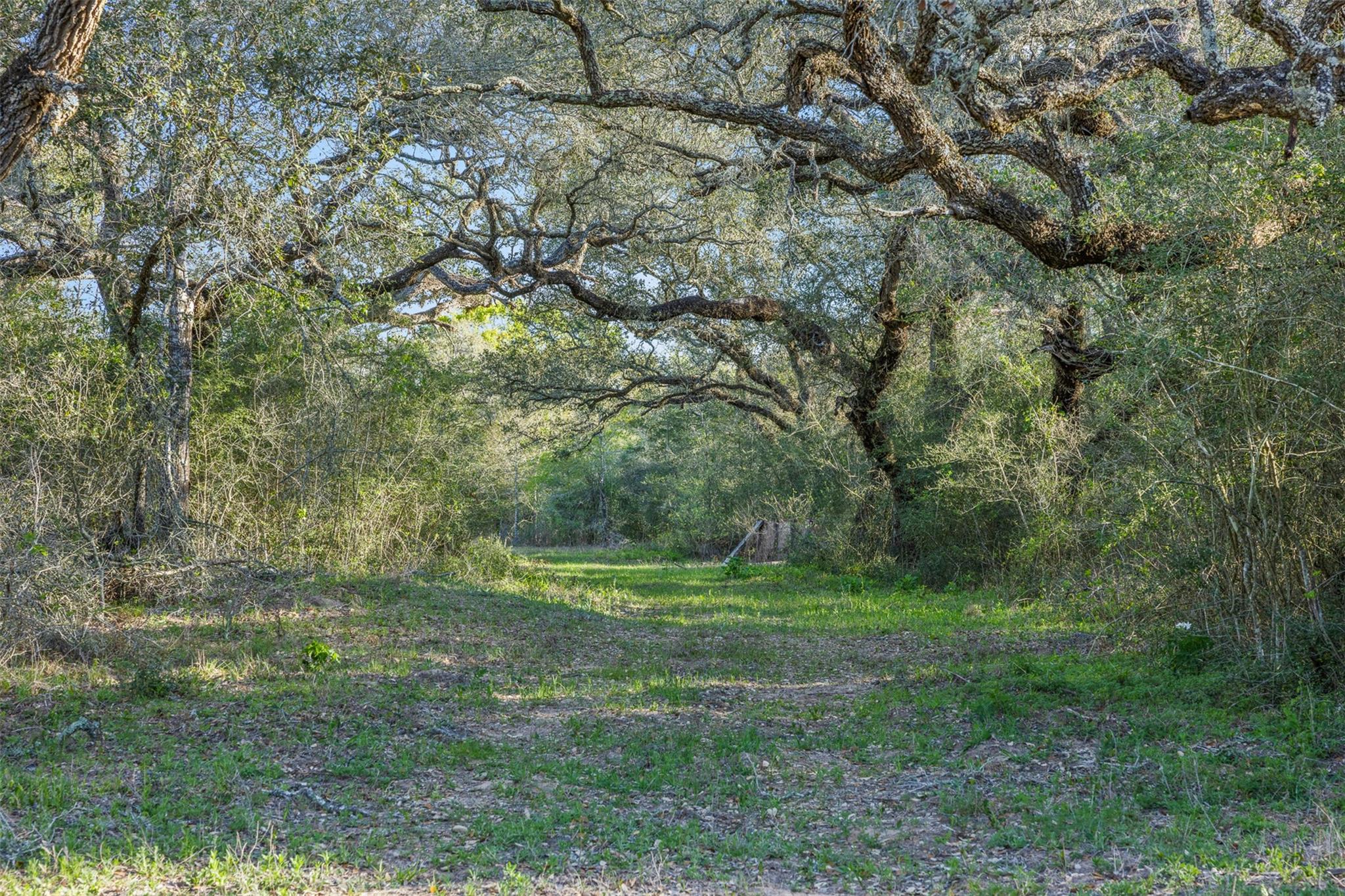 1746 County Road 103