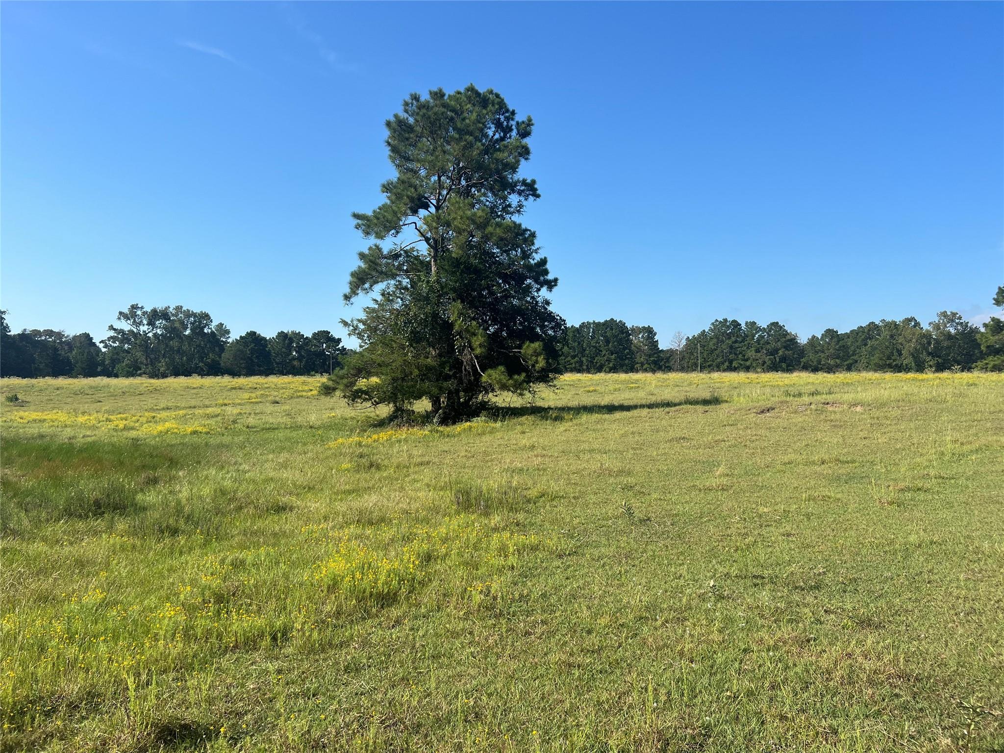 000 Hardy Bottom Road