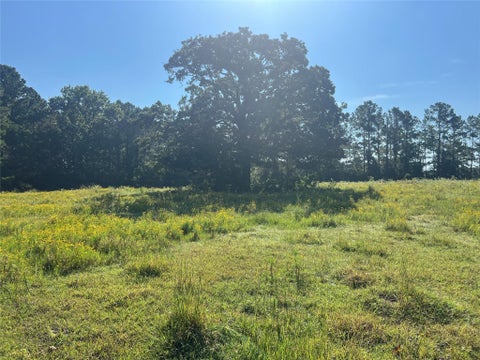 Vacant Land For Sale - 000 Hardy Bottom Road Rd<br/> Walker County, Huntsville, TX 77340
