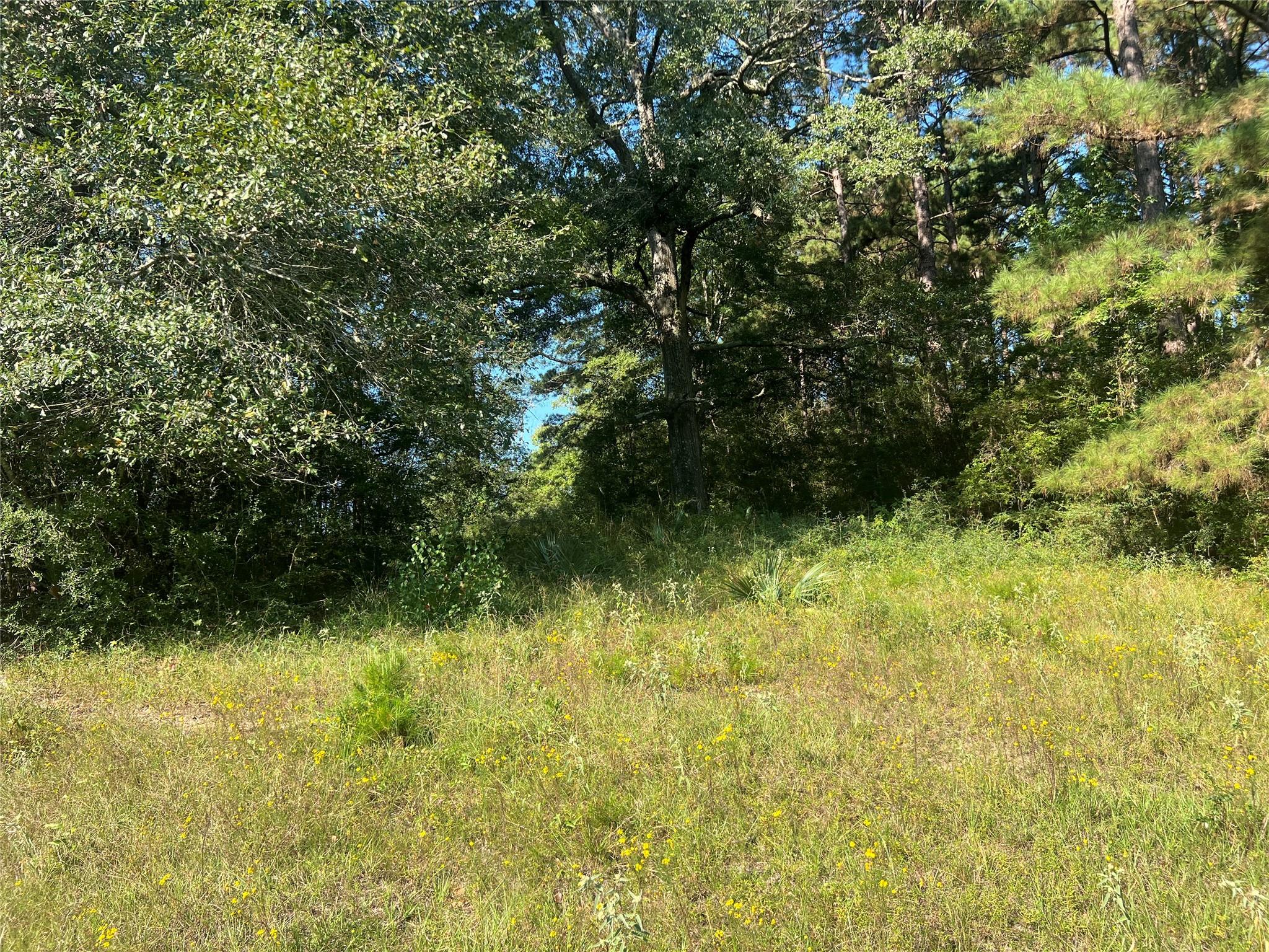 000 Hardy Bottom Road