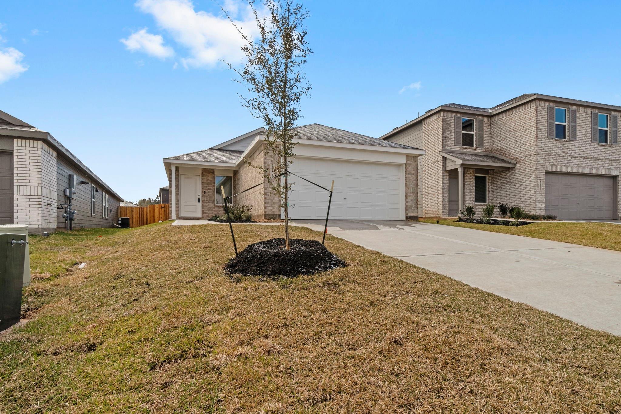 25429 Carnation Court