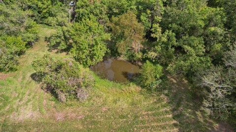 Tiny photo for 451 Farm Pasture Road, Shepherd, TX 77371 (MLS # 68564263)