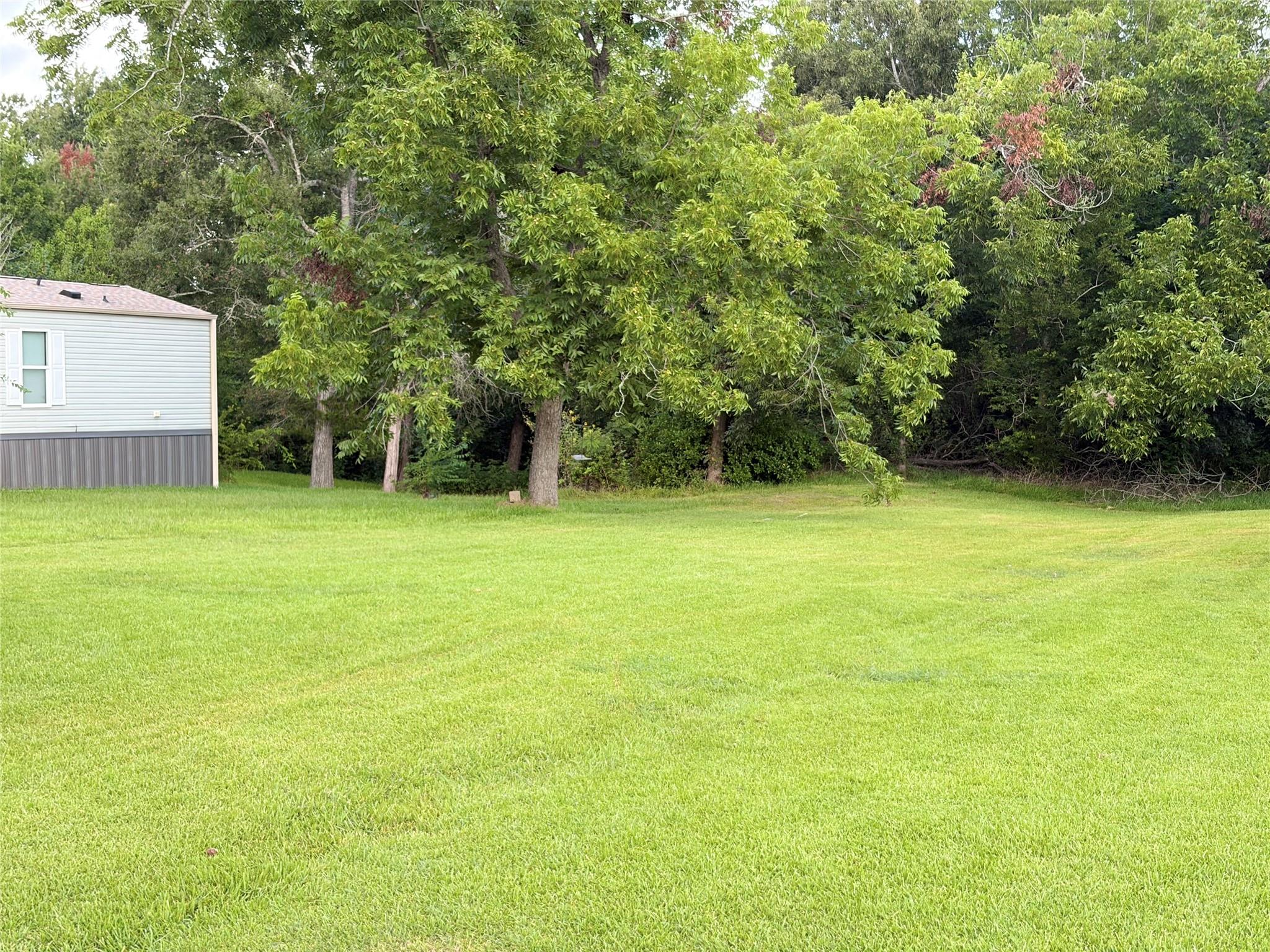 215 Live Oak Street