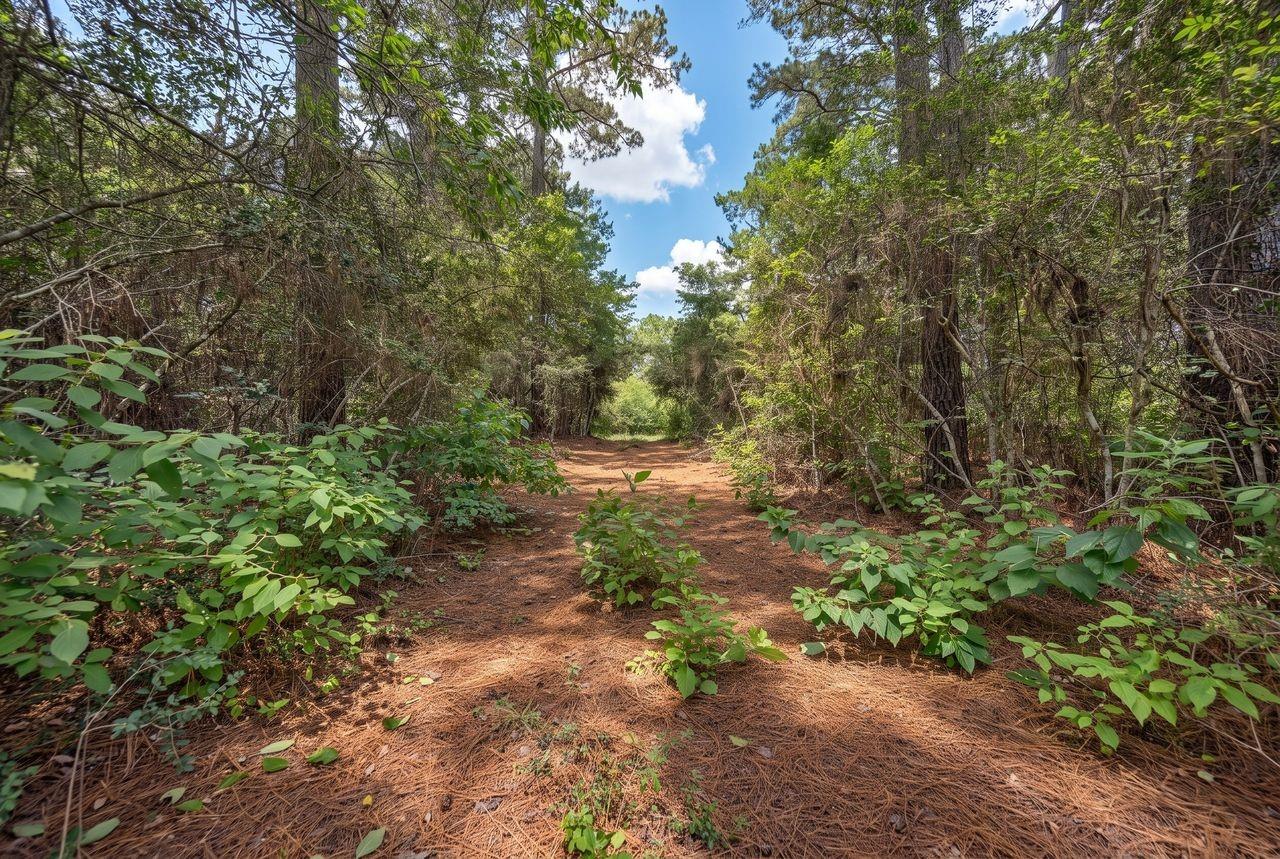 3340 County Road 325