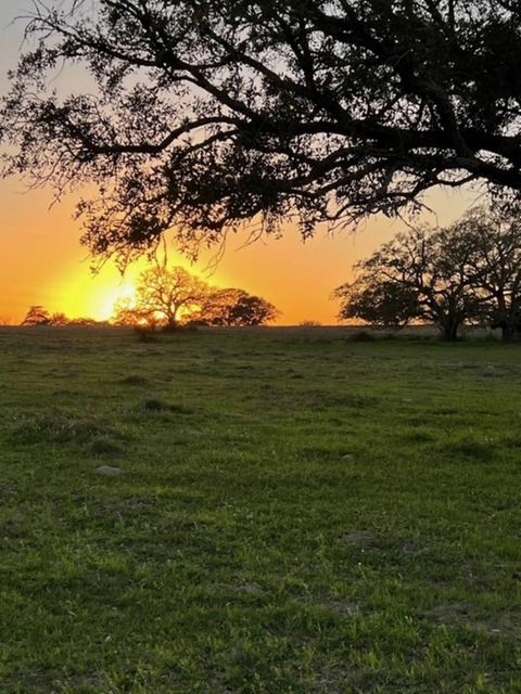 Vacant Land For Sale - 265 Boulton Creek Road<br/> Flatonia, TX 78941