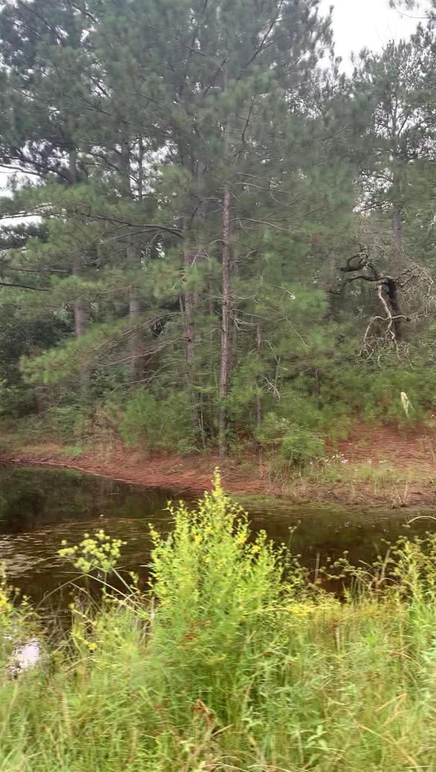 38452 Park View Drive