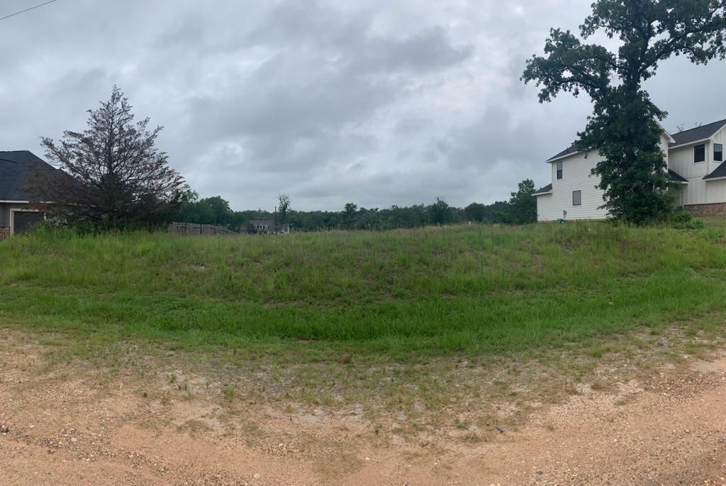 Photo of 38452 Park View Drive, Hempstead, TX 77445 (MLS # 78385114)