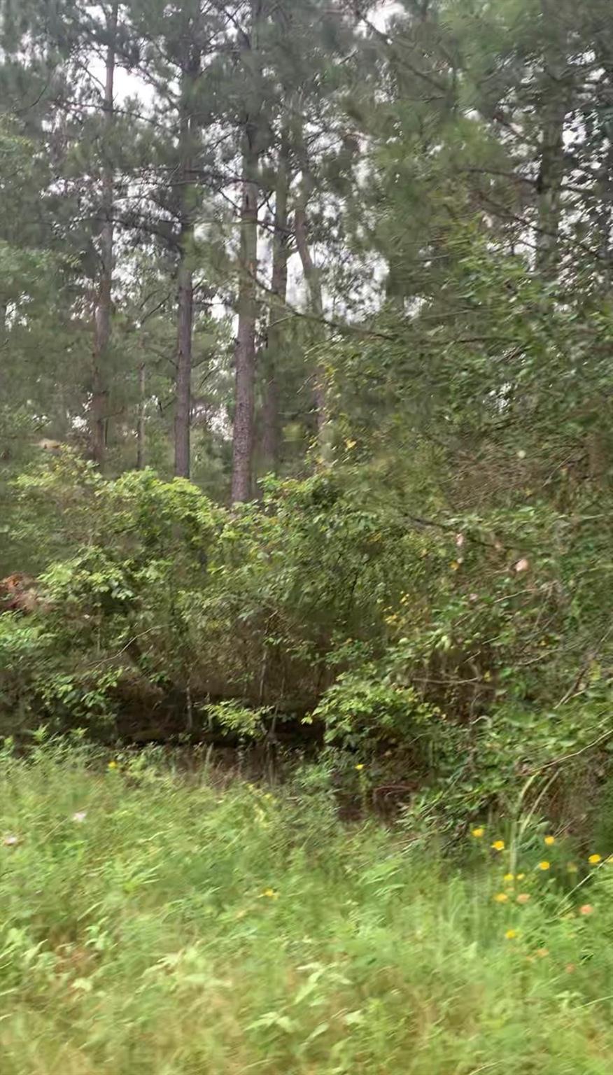 38452 Park View Drive