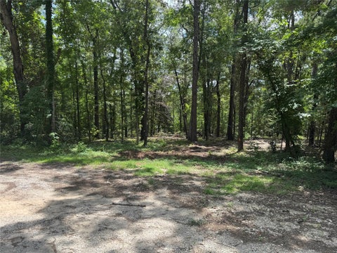 Vacant Land For Sale - 107 Pine High Lane<br/> Brookeland, TX 75931