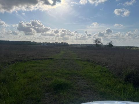 Vacant Land For Sale - 509 County Road 2285<br/> Cleveland, TX 77327