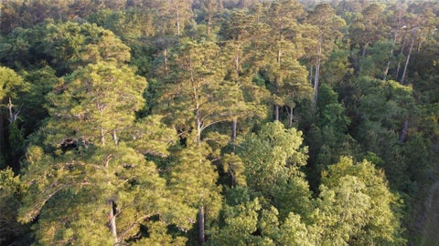 Photo of Tract B Lake Road, Riverside, TX 77320 (MLS # 73961057)