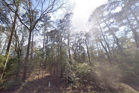 Sioux Court Huntsville TX 77320