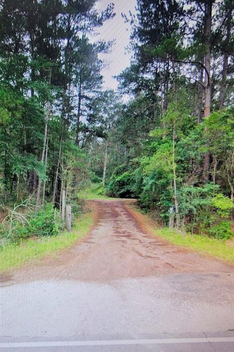 Photo of 0 Sioux Dr Drive, Hempstead, TX 77445 (MLS # 89970535) Photo of 0 Sioux Dr Drive, Hempstead, TX 77445 (MLS # 89970535)