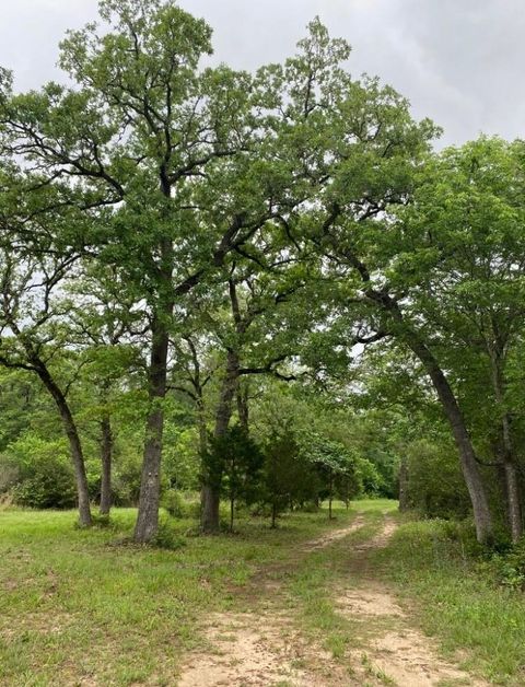 Vacant Land For Sale - 1803 Doe Run Drive<br/> Waelder, TX 78959