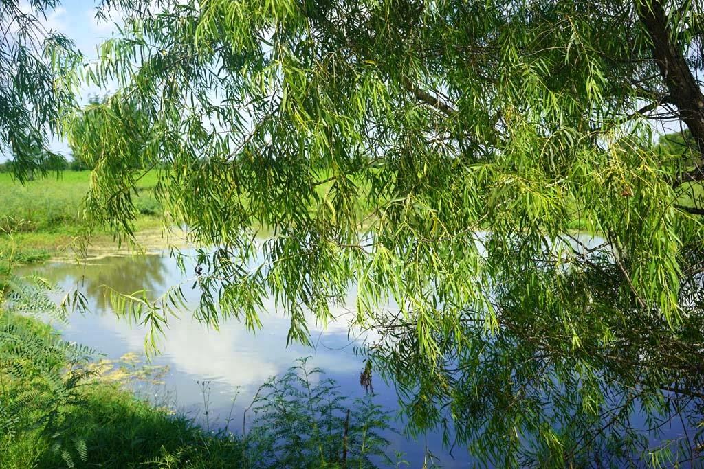 00065 County Road 419