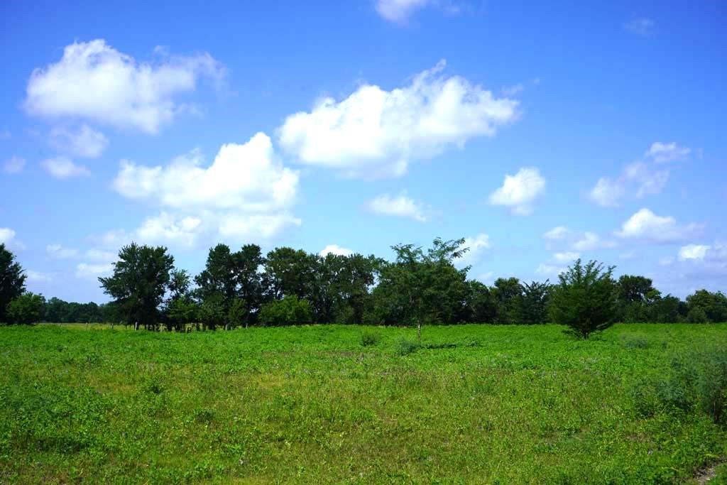 00065 County Road 419