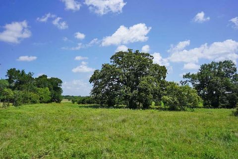 Photo of 65 County Road 419, Navasota, TX 77868 (MLS # 42526027)