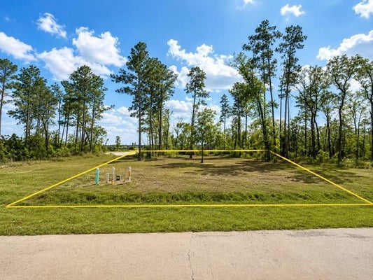 4116 RD 5876, NEW CANEY, TX 77357 - Image c2d865d40205fcc3b09d15a32d0e92da/342989064