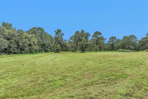 Lot 3 Paradise Point Willis TX 77318