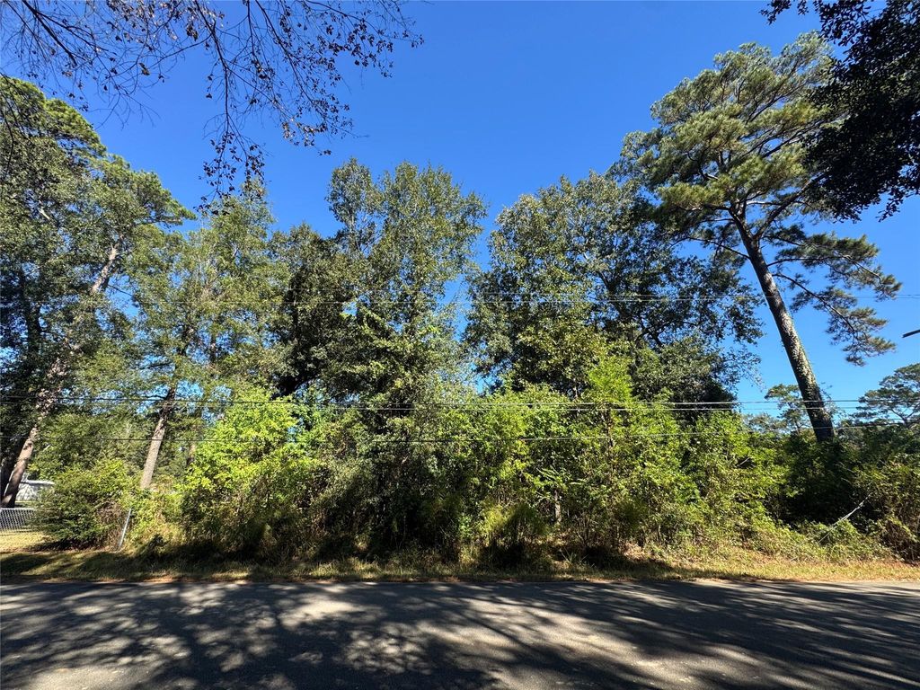 Photo of 9184 Oak Arbor Divide, Conroe, TX 77384 (MLS # 62389833)
