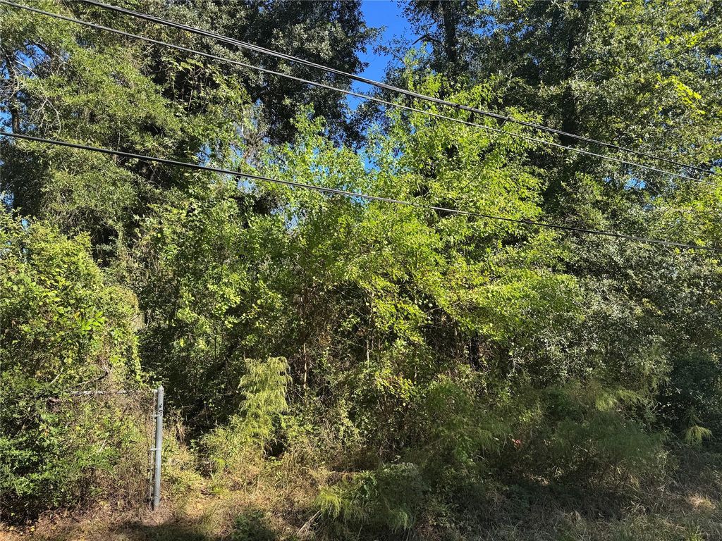 Photo of 9184 Oak Arbor Divide, Conroe, TX 77384 (MLS # 62389833)