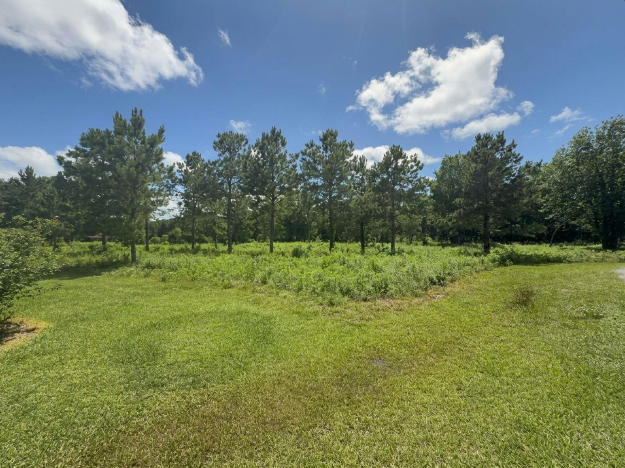 ***** Tranquil Trace St