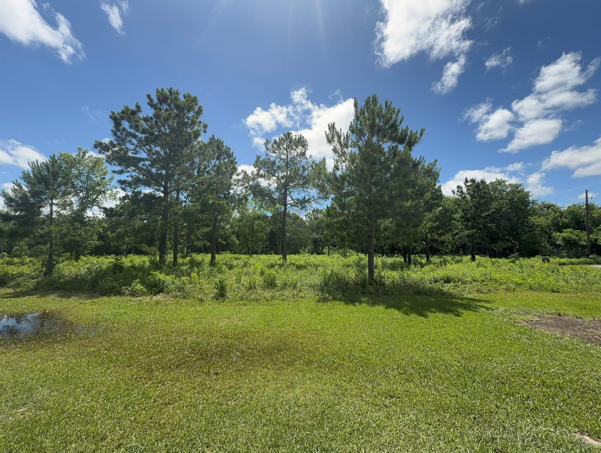 ***** Tranquil Trace St