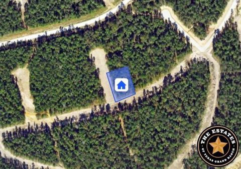 Photo of 172 Rock Ranch Road, New Waverly, TX 77358 (MLS # 82812684)
