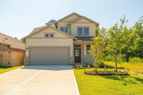 Photo of 263 Navasota Narrows Way Ct, Conroe, TX 77304 (MLS # 23521272)